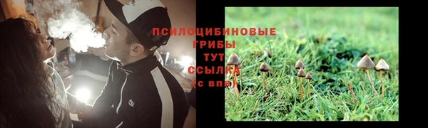 стаф Бронницы