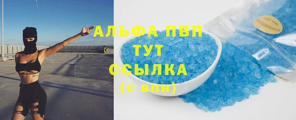 apvp Бородино