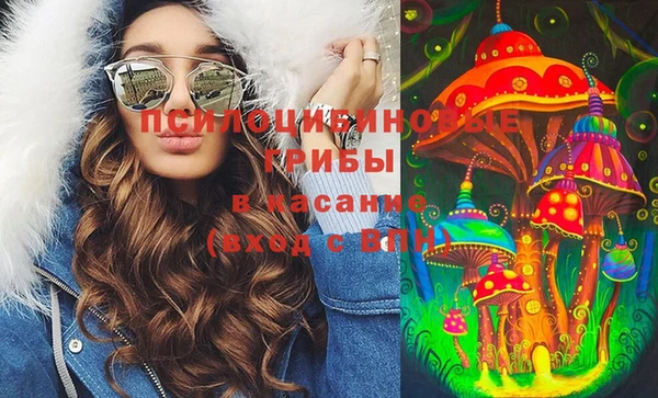 стаф Бронницы