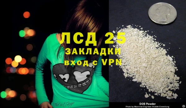 apvp Бородино