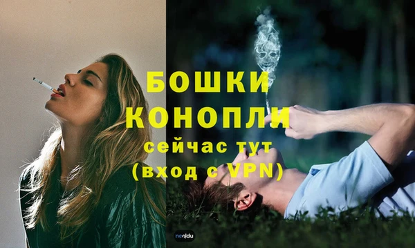 apvp Бородино