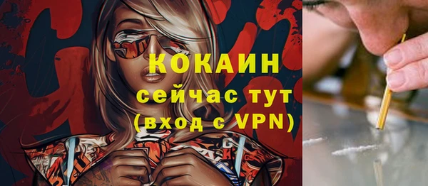 apvp Бородино