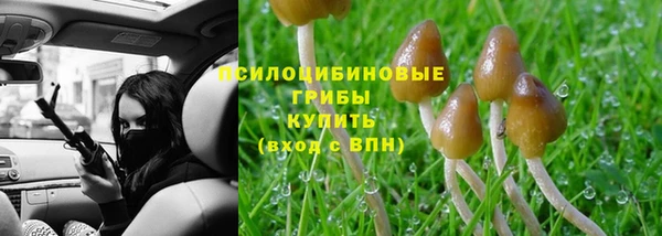 стаф Бронницы