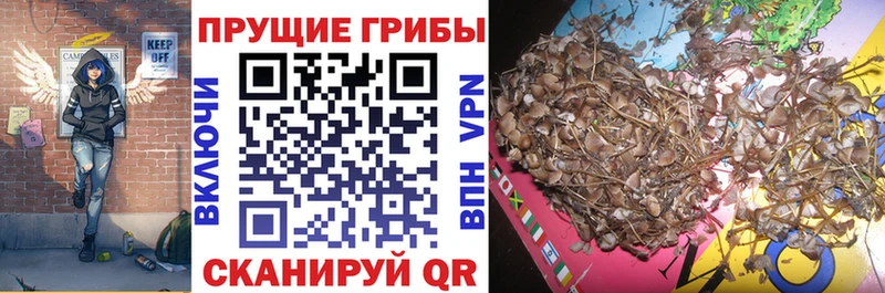 Псилоцибиновые грибы ЛСД  Купить где  Еманжелинск 